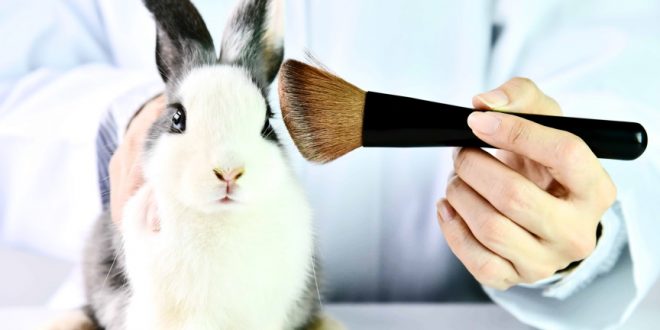Ways to End Animal Testing of Cosmetics