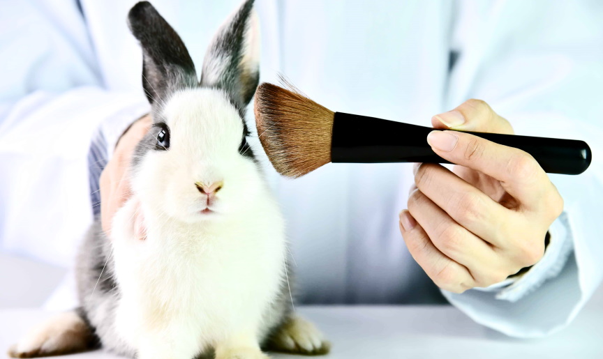 Ways to End Animal Testing of Cosmetics ~ Semillas del Oceano Ways to End Animal Testing of Cosmetics ~ Semillas del Oceano